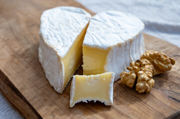 Cheese collection, French cheese from Normandy region, heart-shaped neufchatel close up