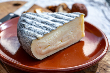 Piece of cheese tomme de chevre made from goat milk in France