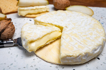 French soft Cremeux de Normandie cheese, soft creamy cheese with white mold