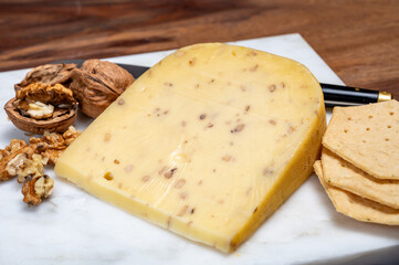 Piece of Dutch Gouda cheese made from cow milk with added walnuts close up