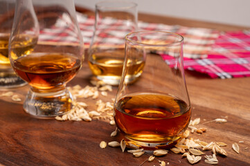 Tasting of different Scotch whiskies strong alcoholic drinks, drum of whiskey and colorful Scotch tartan on background close up