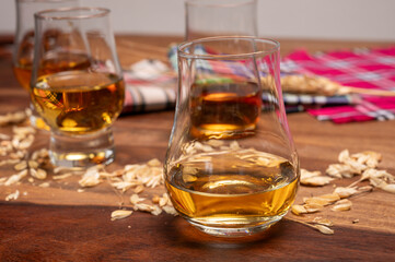 Tasting of different Scotch whiskies strong alcoholic drinks, drum of whiskey and colorful Scotch tartan on background close up
