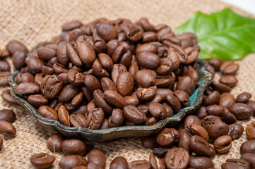 Arabica brown roasted coffee beans from Africa coffee producing region, cultivating in Ethiopia, Ivory Coast, Uganda, Kenya, Rwanda and Tanzania