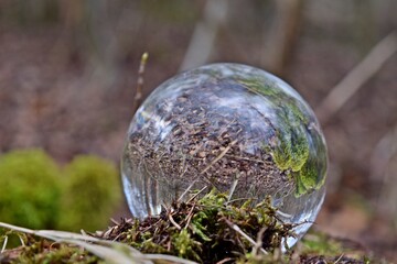 Wald Glaskugel 6