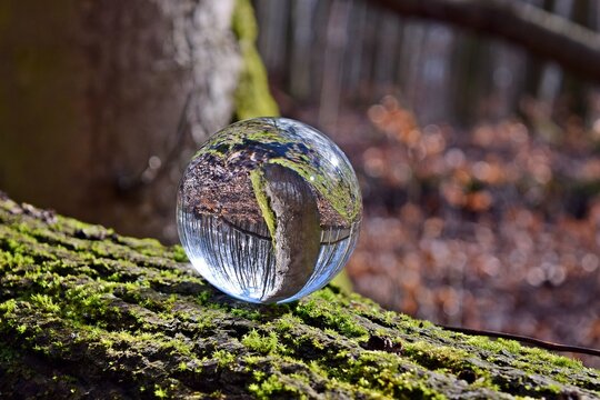 Wald Glaskugel 3