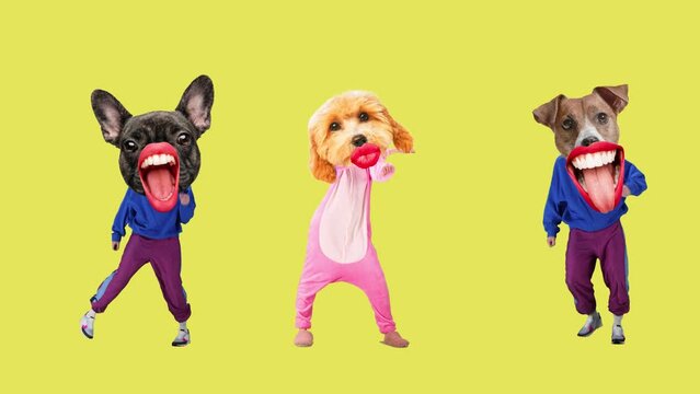 Party invitation. Young people headed with dog's muzzles dancing over colorful background. Stop motion, animation. Concept of animal theme, surrealism, fun and joy, dynamics