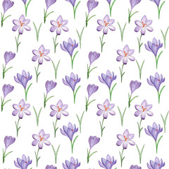 Watercolor seamless pattern of beautiful spring flowers, crocuses on a white background