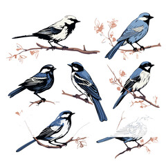 bird, animal, vector, silhouette, illustration, nature, crow, black, birds, isolated, raven, white, wildlife, branch, feather, beak, wing, art, icon, bullfinch, robin, winter, fly, tree, pigeon
