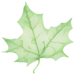 Naklejka premium green leaf