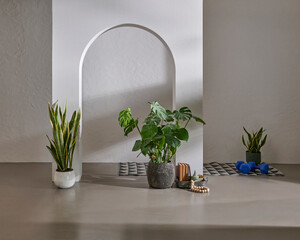 Brown and green wall background interior style, botanic vase of plant and carpet decoration.