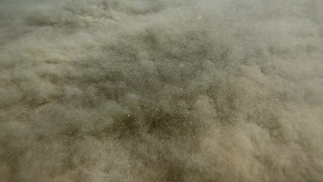 Movement of sand at sea bottom in the surf zone. A waves in coastal area sets sands on seabed in motion, Slow motion. Natural underwater background with sandy movement
