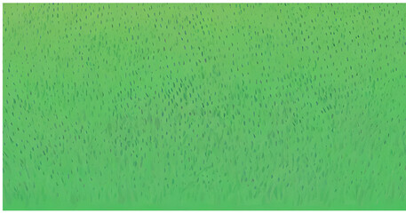 Fototapeta premium green grass, illustration