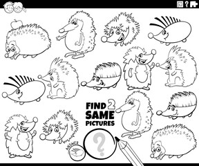 find two same cartoon hedgehogs activity coloring page