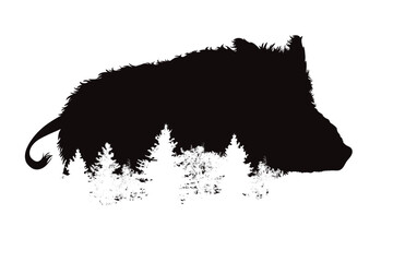 Vector silhouette of wild boar with forest on white background. Symbol of wild animal and nature.