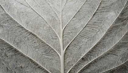 Tapeta, tło -  beton z motywem liści. Panel ścienny, tapeta, dekoracja. Generative AI