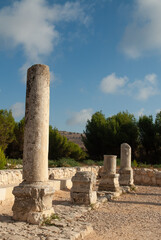 Archeological remains of an ancient synagogue in the Biriya Forest in northern Israel.