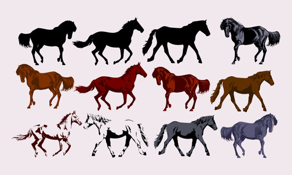 Set of standing horse silhouette animal collection vector illustration. Isolated on white background.
