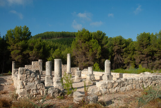 Archeological remains of an ancient synagogue in the Biriya Forest in northern Israel.