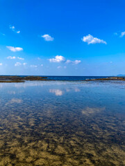 引き潮の天神崎