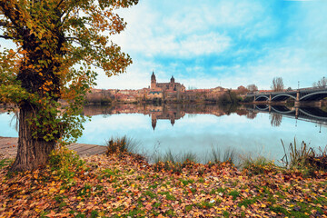 Fototapeta premium View of Cathedral of the Assumption of the Virgin Mary, Salamanca city, Spain, Europe