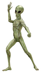 3D Rendering Green Alien on White