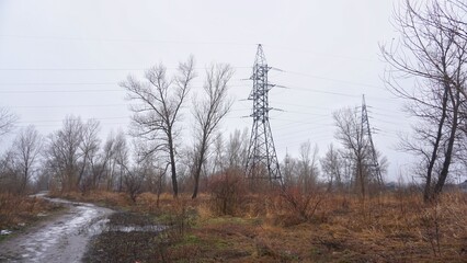 Electric pole, field