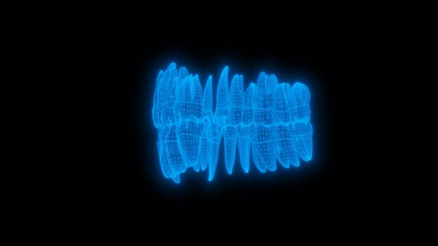 4k Anatomy Tooth technology video, Anatomy Tooth technology video, Anatomy Tooth 360 turn, Anatomy Tooth wireframe video