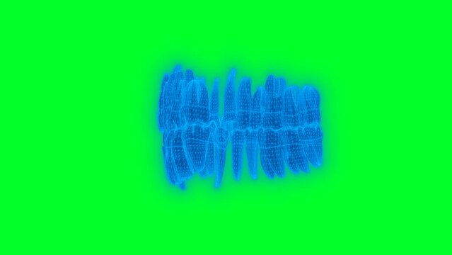 4k Anatomy Tooth green screen technology video. Anatomy Tooth technology video, Anatomy Tooth 360 turn, Anatomy Tooth wireframe video	
