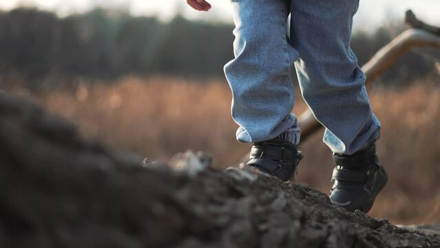 Traveling in nature.child wearing trackers walks along trunk of a fallen tree in nature.baby's feet walk along the trunk of a fallen tree. travel through forest park in trackers. happy family concept