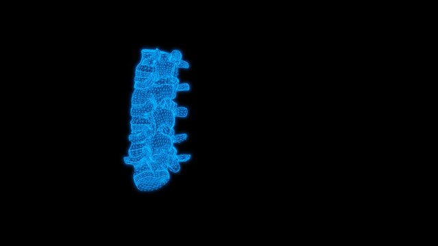 4k Anatomy Vertebrae Lumbar technology video, Anatomy Vertebrae Lumbar technology video, Anatomy Vertebrae Lumbar 360 turn, Anatomy Vertebrae Lumbar wireframe video