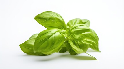 Professional food photography of Basil