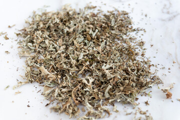 Herbs Iceland moss Cetraria islandica. dry Icelandic moss.
