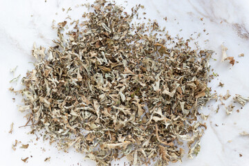 Herbs Iceland moss Cetraria islandica. dry Icelandic moss.
