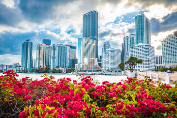 Miami waterfront skyline sunset view from Brickell Key, Florida