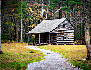 old wooden house in the woods