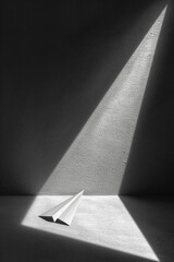An illustration of a paper airplane accompanied by a small, elegant shadow in an artistic shape,