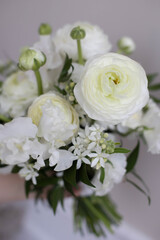 Naklejka na ściany i meble Bouquet of white peony roses in hand.
