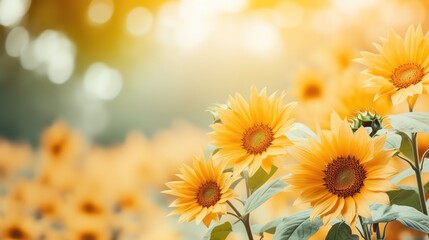 sunflower blossoming on nature landscape, Generative Ai