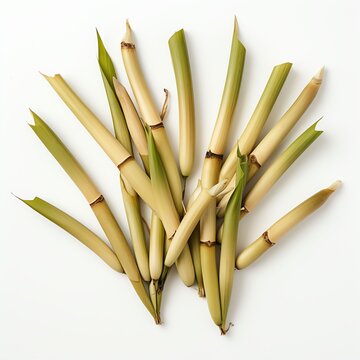Photograph of bamboo shoots, top down view, wite background 