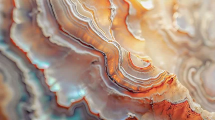 Foto op Aluminium Seashell surface texture close up  © Olya Fedorova