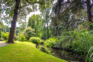 Fototapeta na wymiar A ditch surrounded by all colors of green in this beautiful arboretum in Rotterdam, the Netherlands