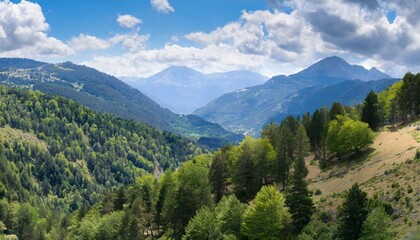 Fototapeta premium view of the mountains