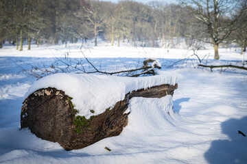 log in snow