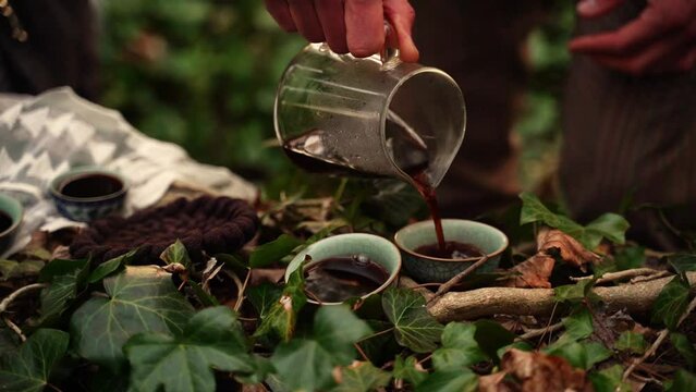 A relaxing ritual of making tea in the forest. Tea lovers brew it in the forest

