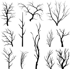 Obraz premium set of black branches and herbs. AI generated illustration.