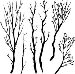 Branches sketch set. Hand drawn graphic plants. Vector illustration of different branches isolated on white background. AI generated illustration.