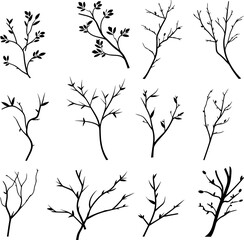Obraz premium set of black branches and herbs. AI generated illustration.