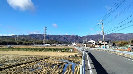 rice field, japan, kyoto
