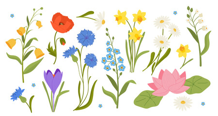 Set of flowers vector - obrazy, fototapety, plakaty