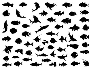 Fishes silhouette vector art white background